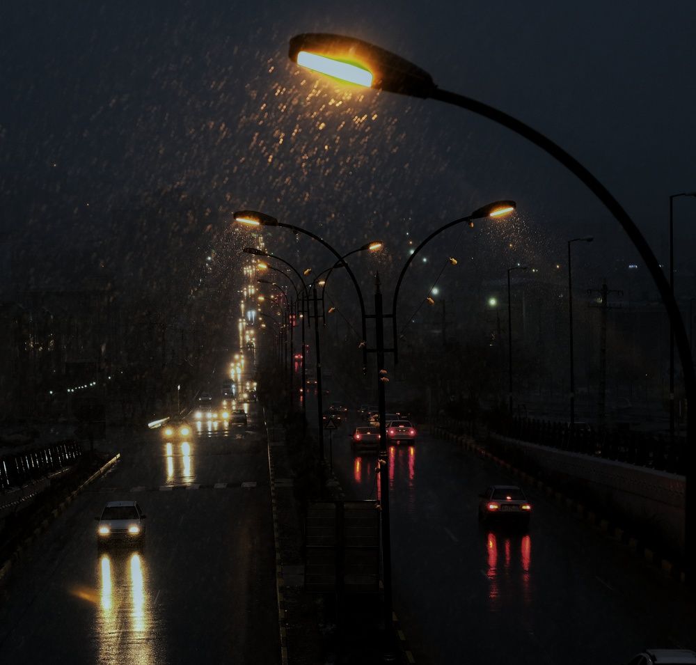 Photograph by Fatemeh Alipour