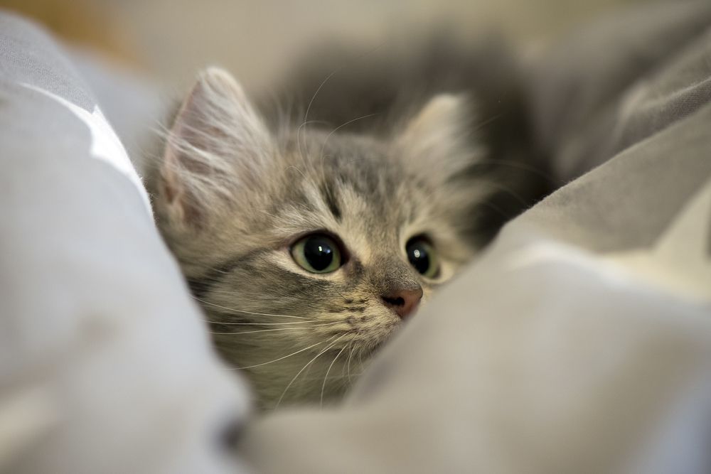 Photograph by Андрей Анатольевич Жуков