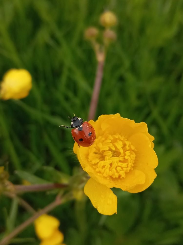 Photograph by Roghayeh Dannandeh