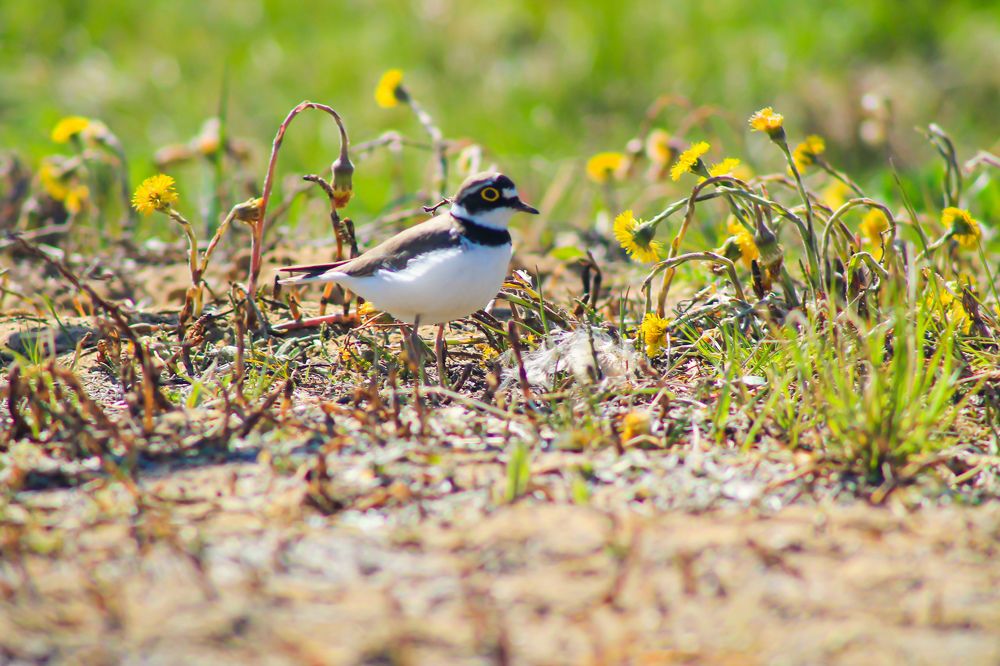 Photograph by Марина Кравцова