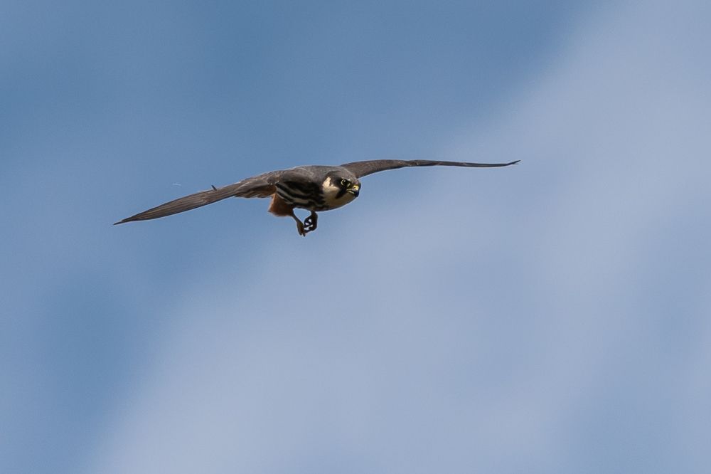 Photograph by Александр Щербаков