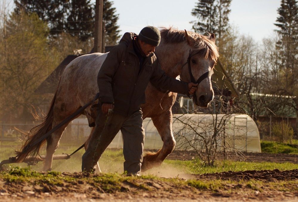 Photograph by Татьяна Шандромайло