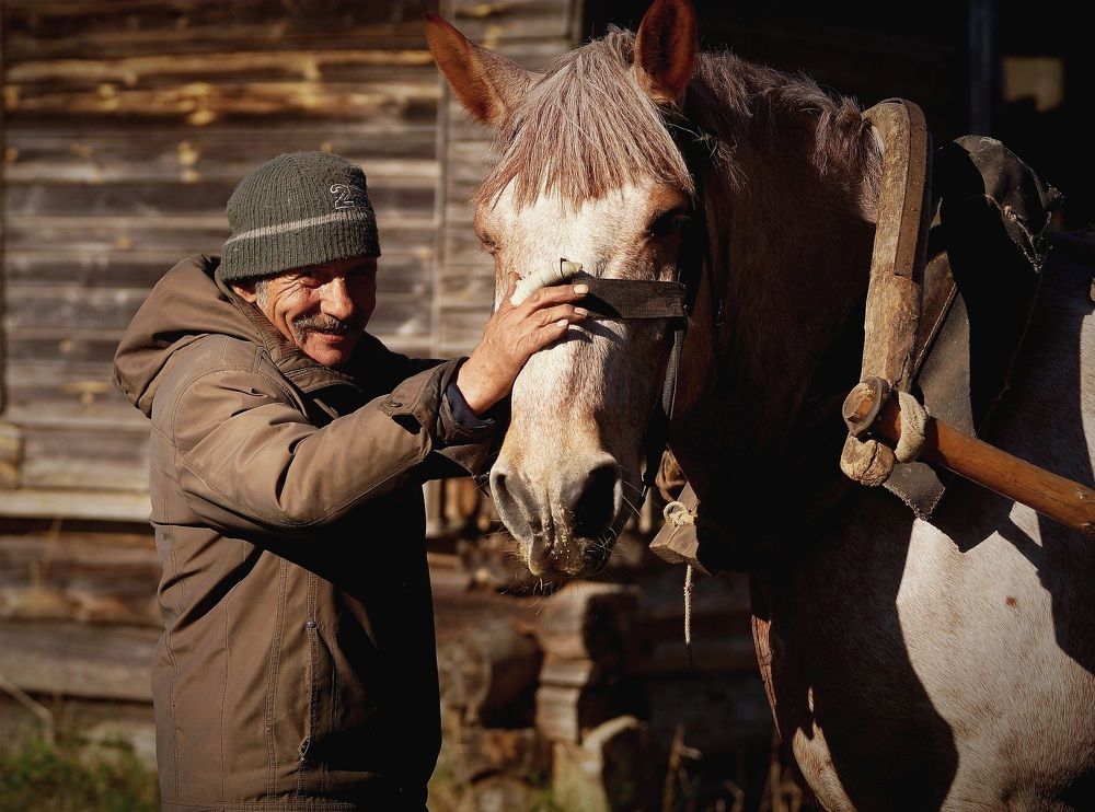 Photograph by Татьяна Шандромайло