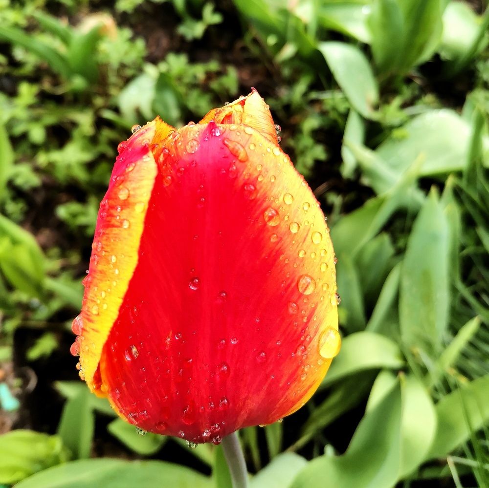 Photograph by Екатерина Шатилова