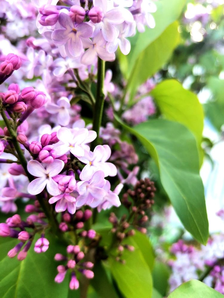 Photograph by Екатерина Шатилова