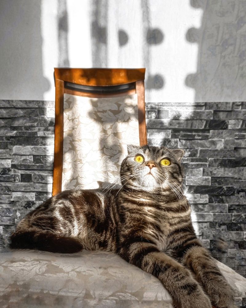 Photograph by Ольга Бородина