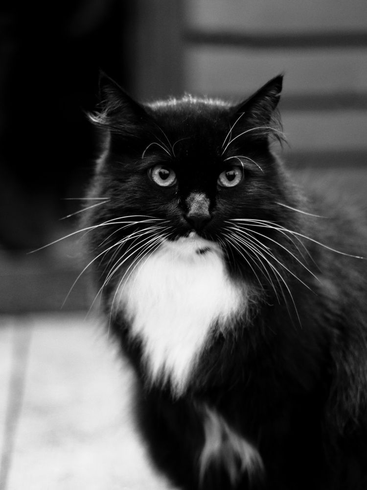 Photograph by Тимофей Стрельцов