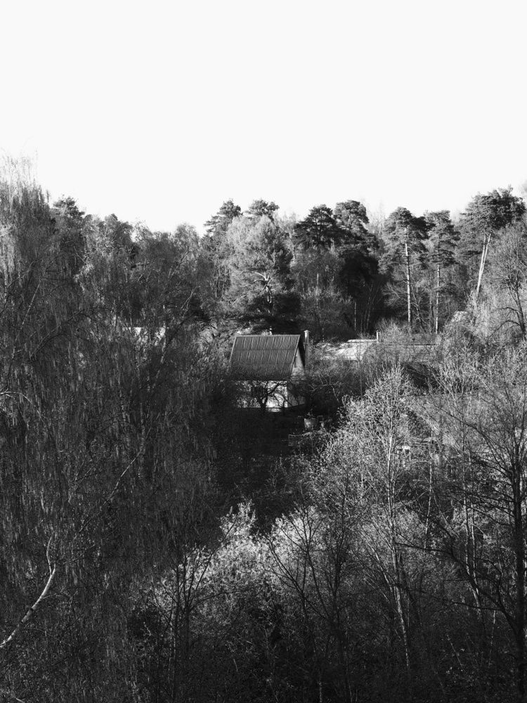 Photograph by Тимофей Стрельцов