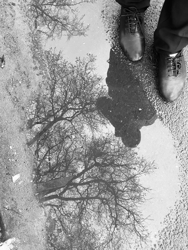 Photograph by Елена Гущина