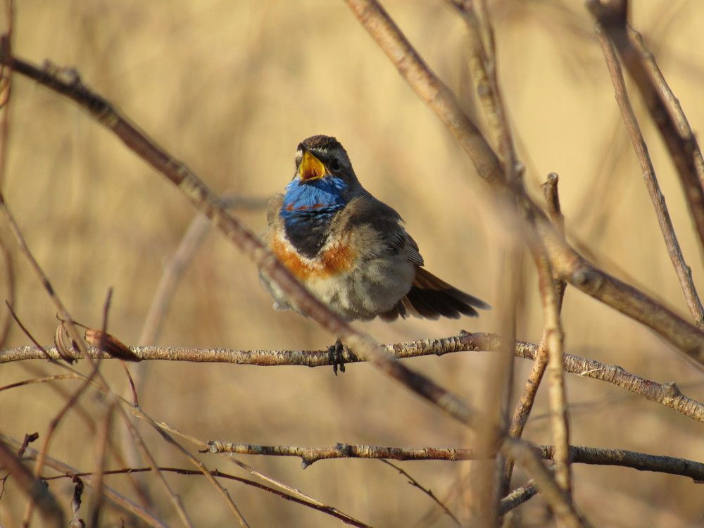 Photograph by Марина Савченко