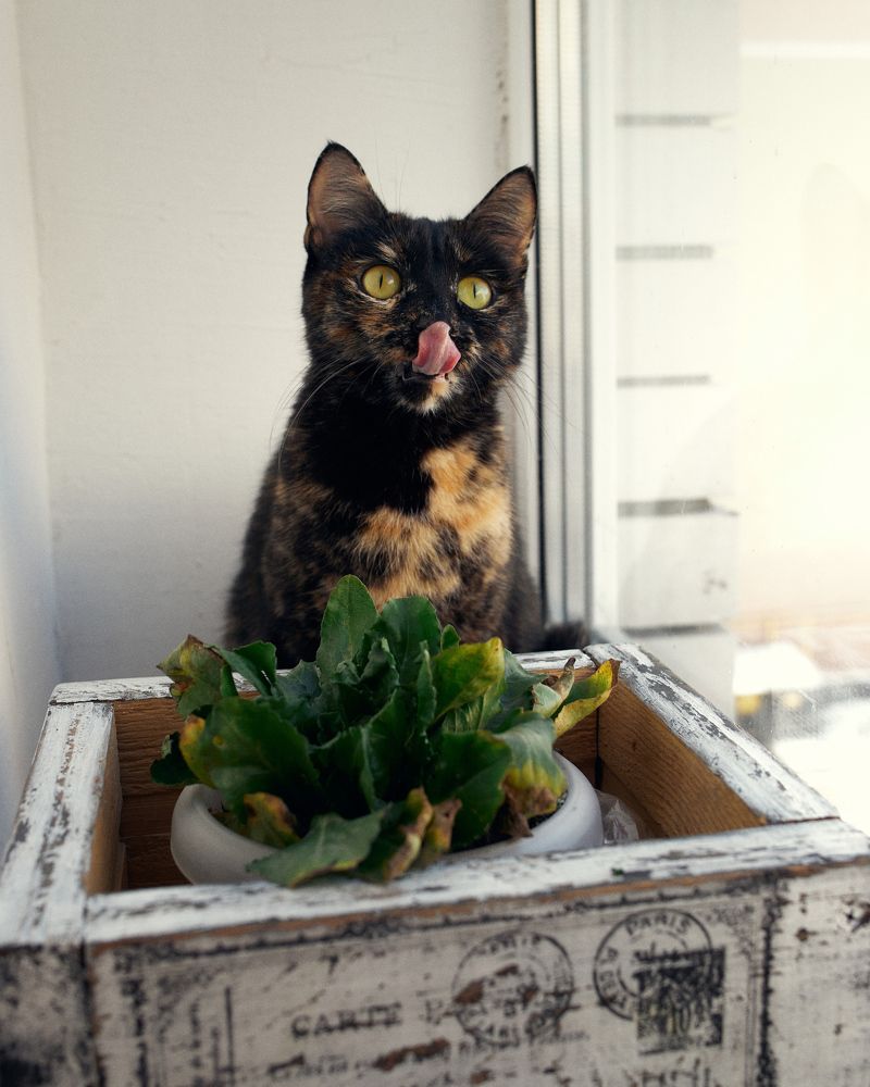 Photograph by Владимир Васенев