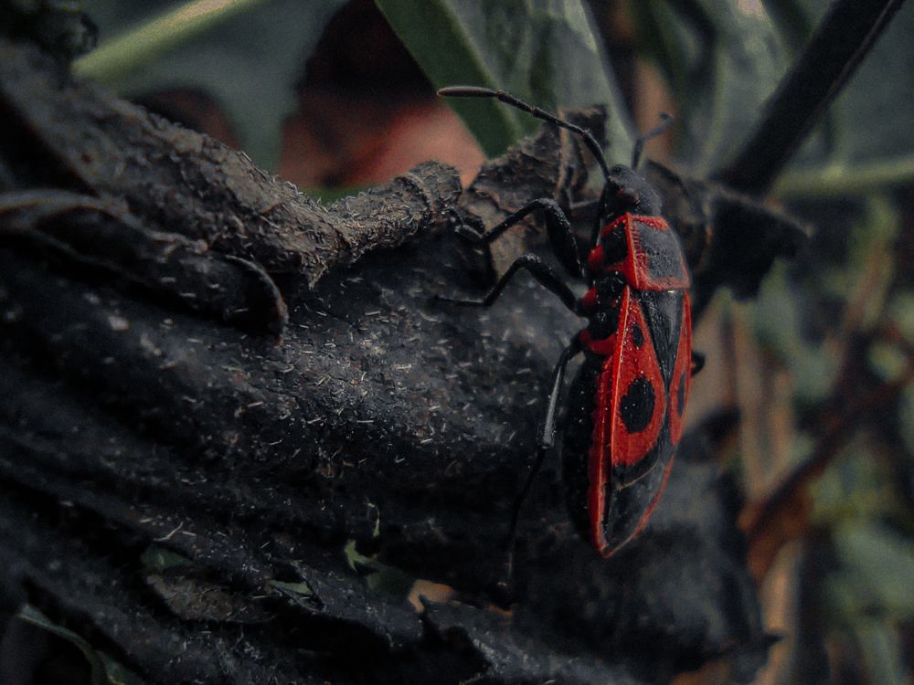 Photograph by Кристина Полякова