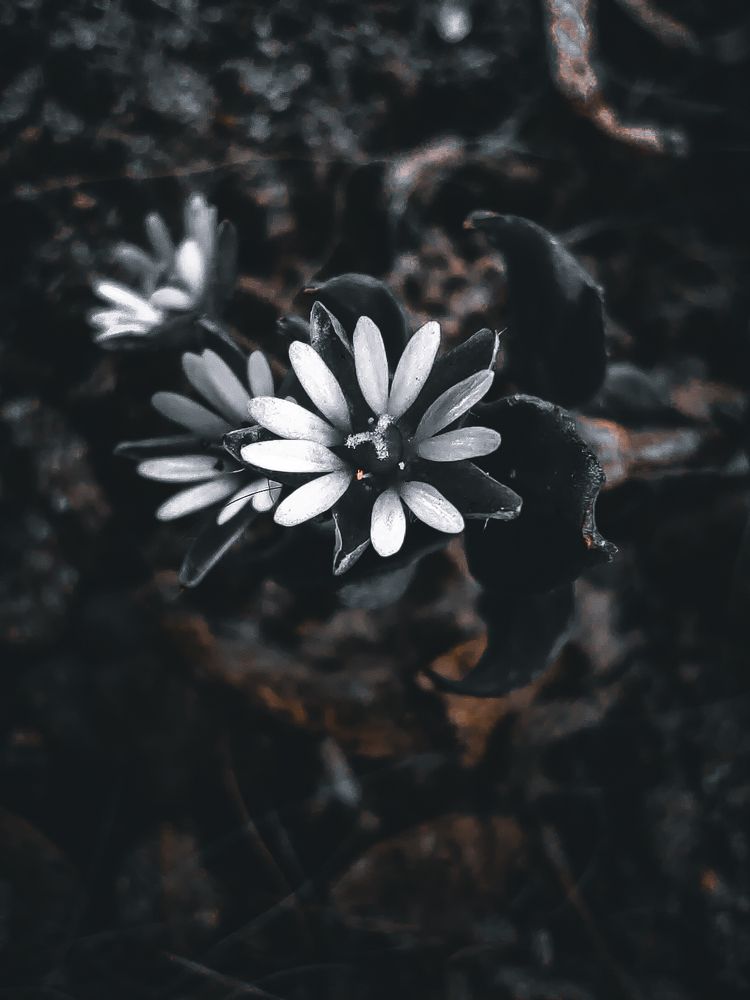 Photograph by Кристина Полякова