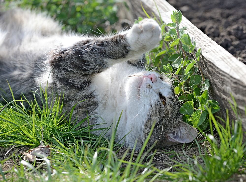 Photograph by Алексей Козлов