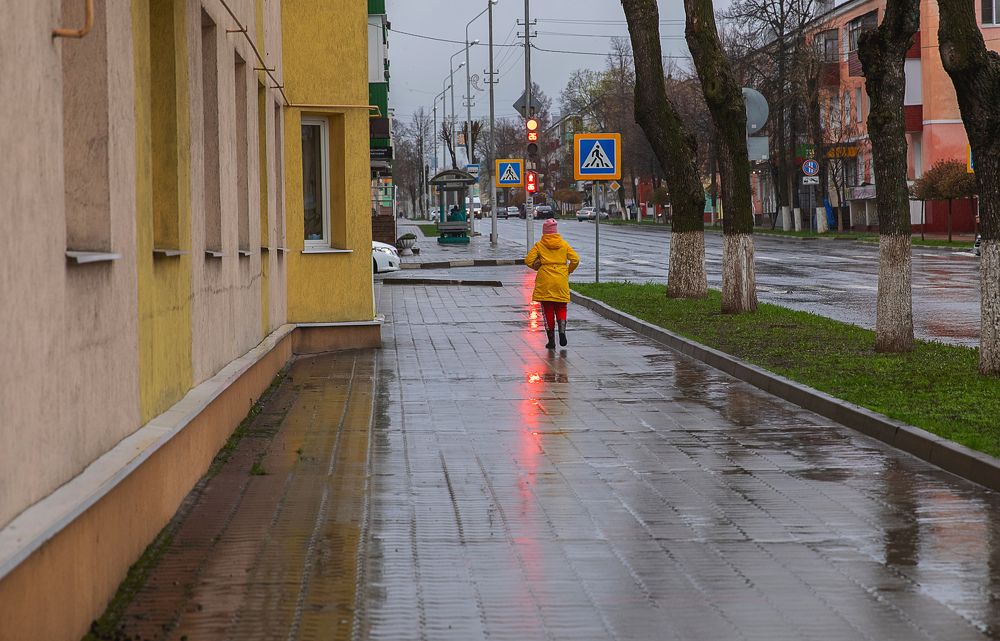 Photograph by Михаил Фенелонов