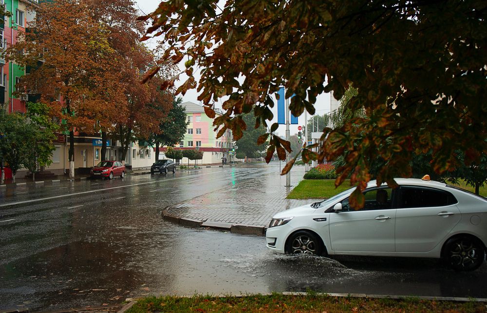 Photograph by Михаил Фенелонов