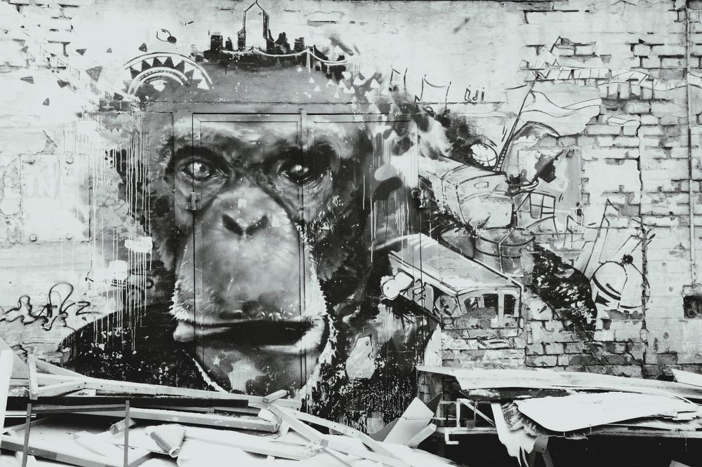 Photograph by Дмитрий Шумский