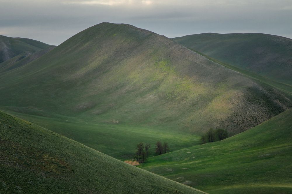 Photograph by Вячеслав Болякин