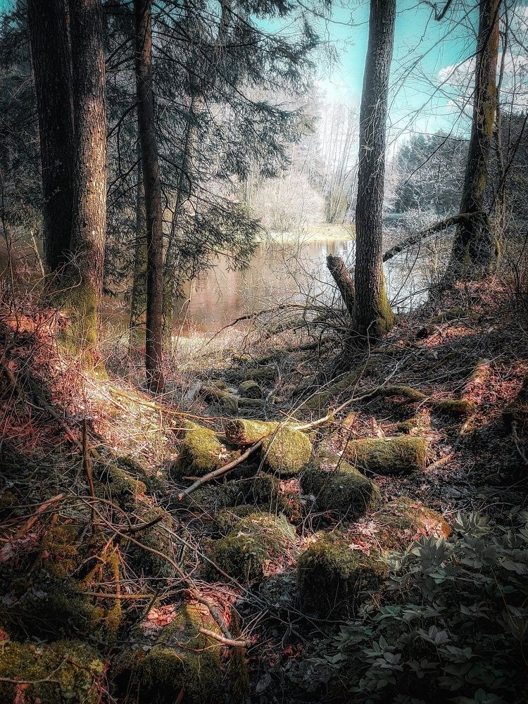 Photograph by Сергей Плюто