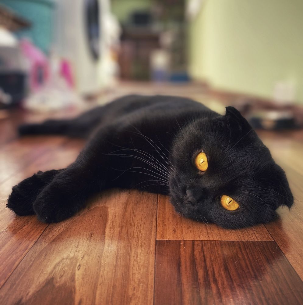 Photograph by Оксана Урванцева