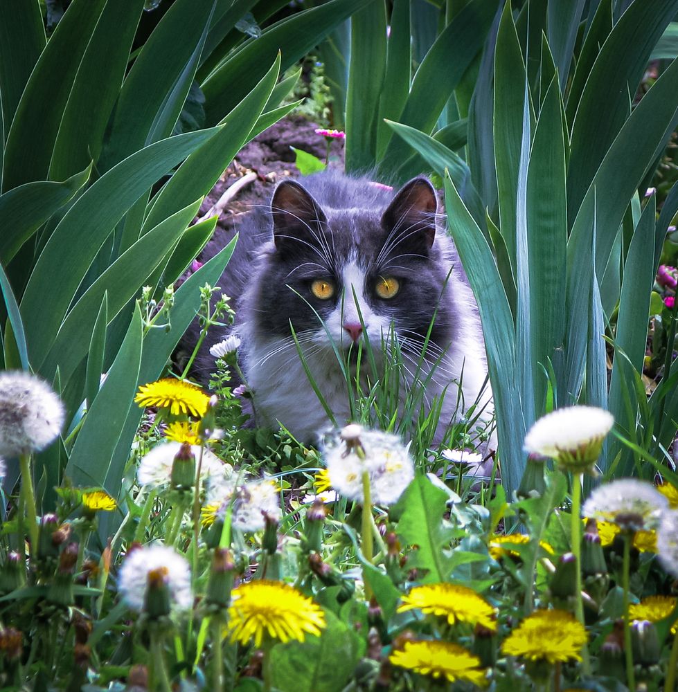 Photograph by Михаил Заброцкий