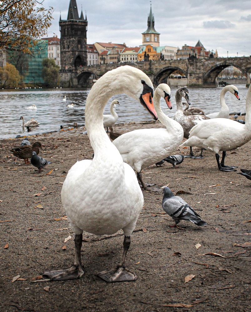 Photograph by Евгения Д