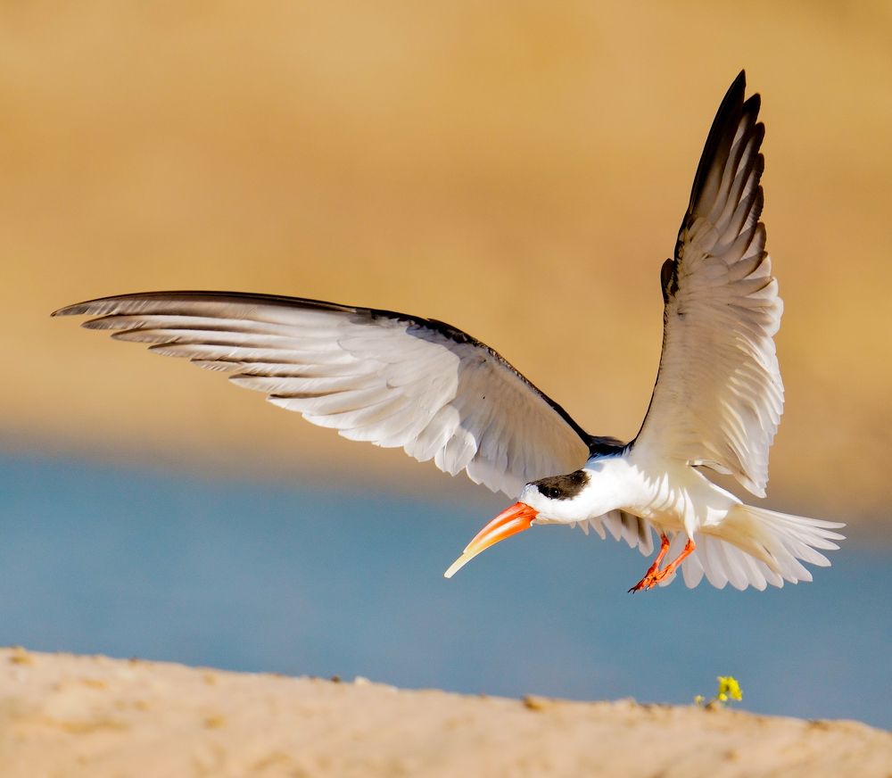 Photograph by Jayavignesh Hariharan