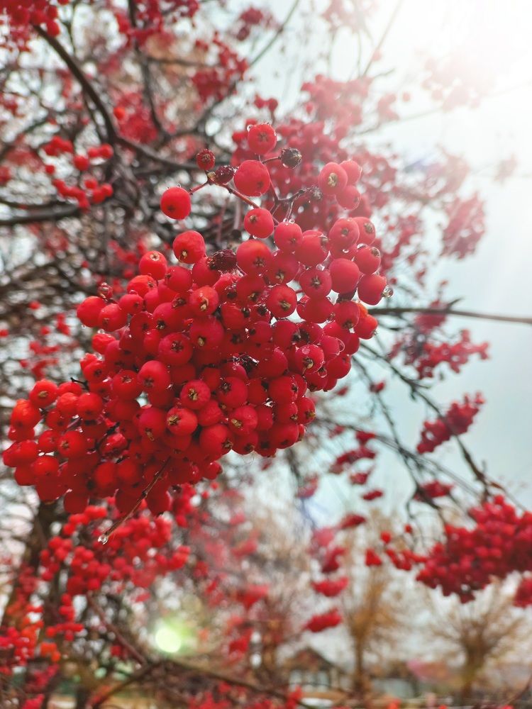 Photograph by Илья Борзенков