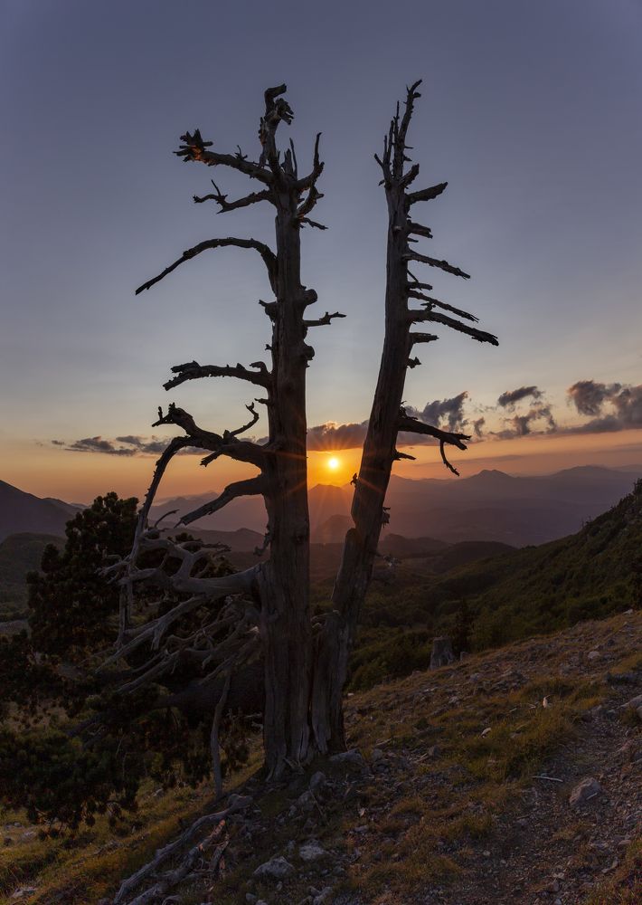 Photograph by Marcello Lombardi