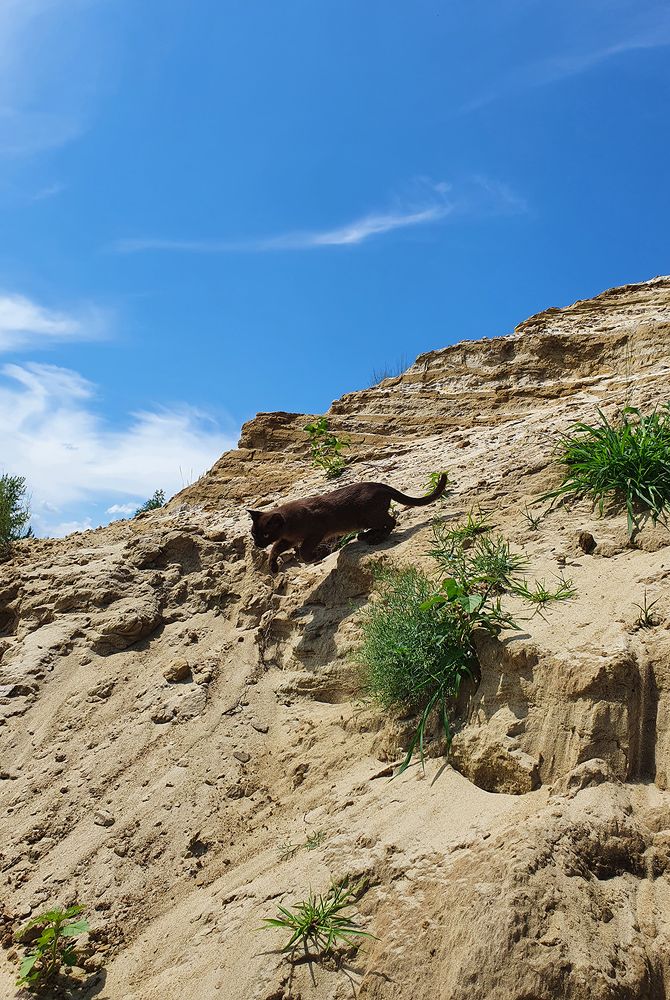 Фотография автора Надежда Лисицына