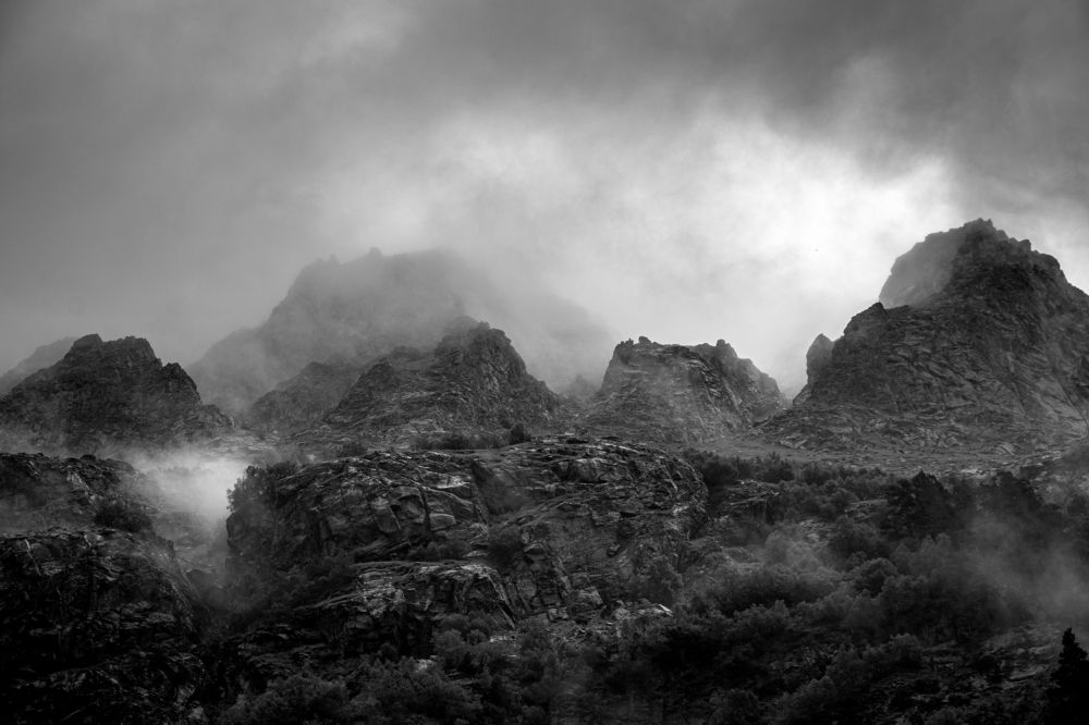 Photograph by Александр Пиленгас