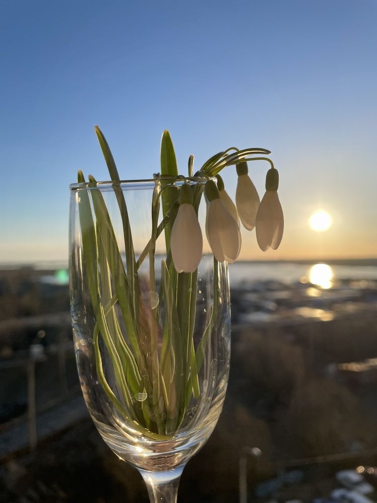 Photograph by Ирина