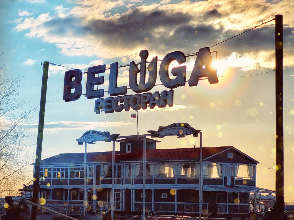 Фотография автора Михаил Бове