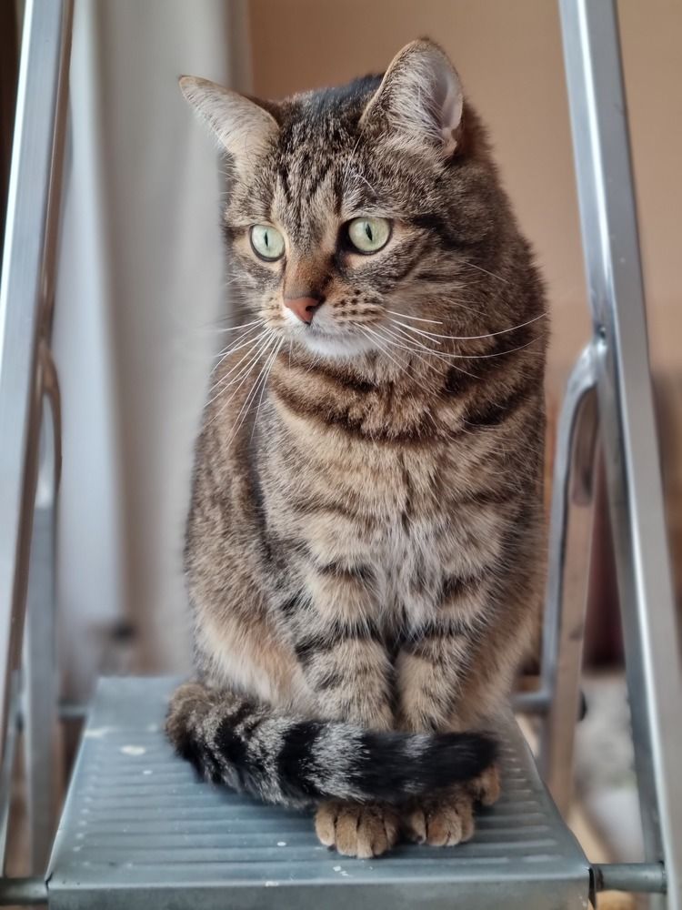 Photograph by Elena Tamošauskaitė