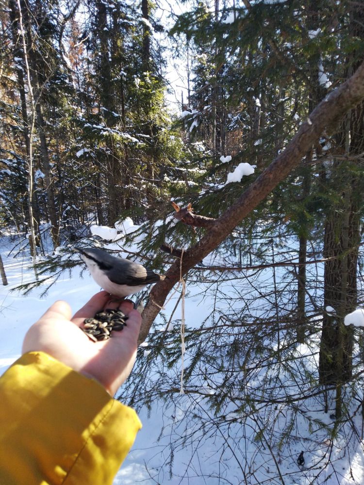 Photograph by Наталья Шулятина