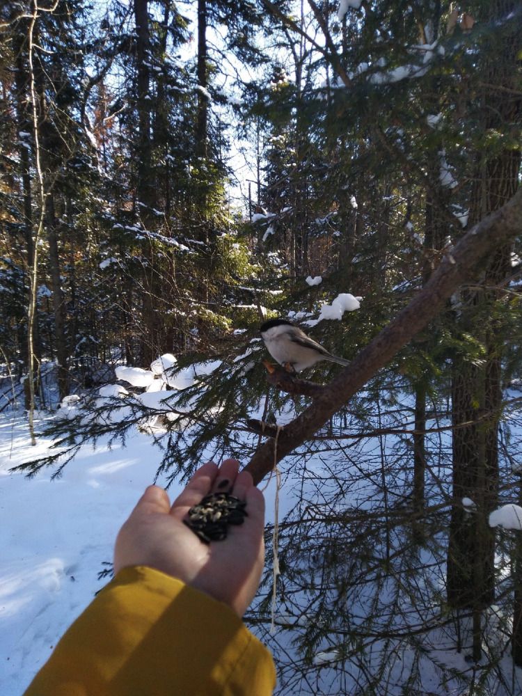 Photograph by Наталья Шулятина