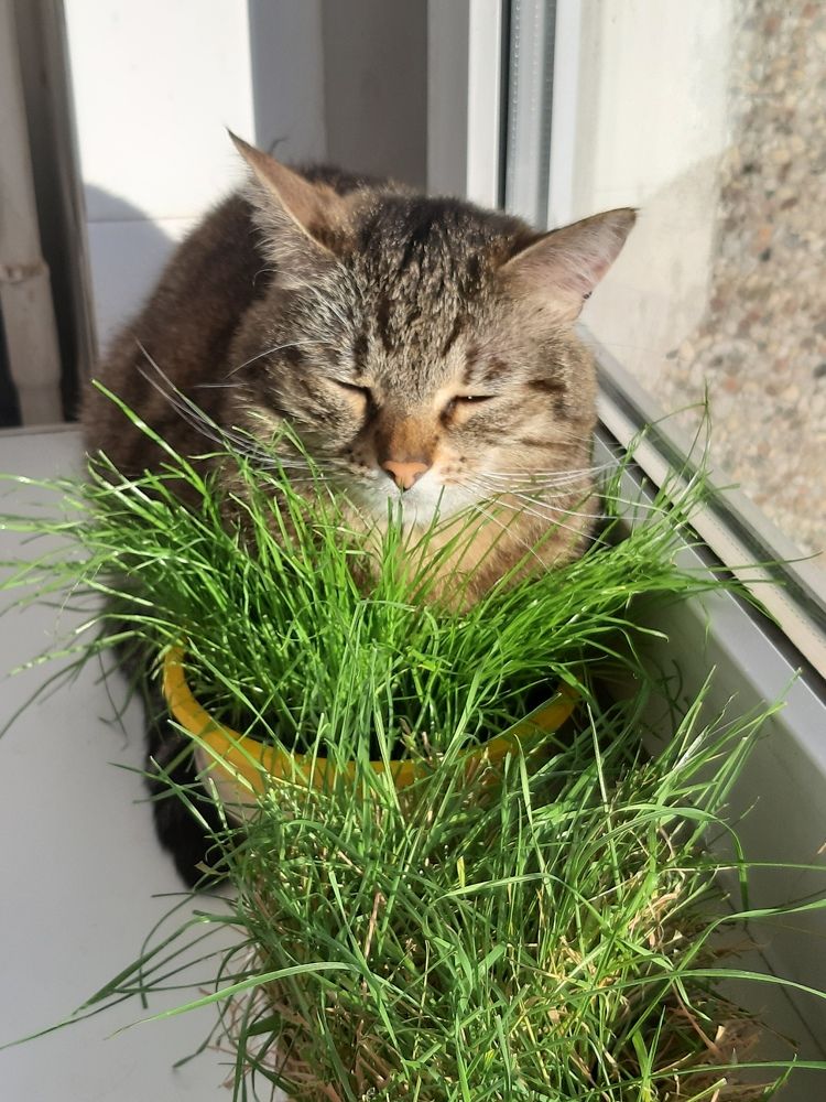 Photograph by Elena Tamošauskaitė