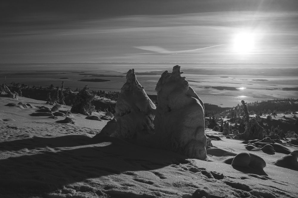 Солнцем любуются...