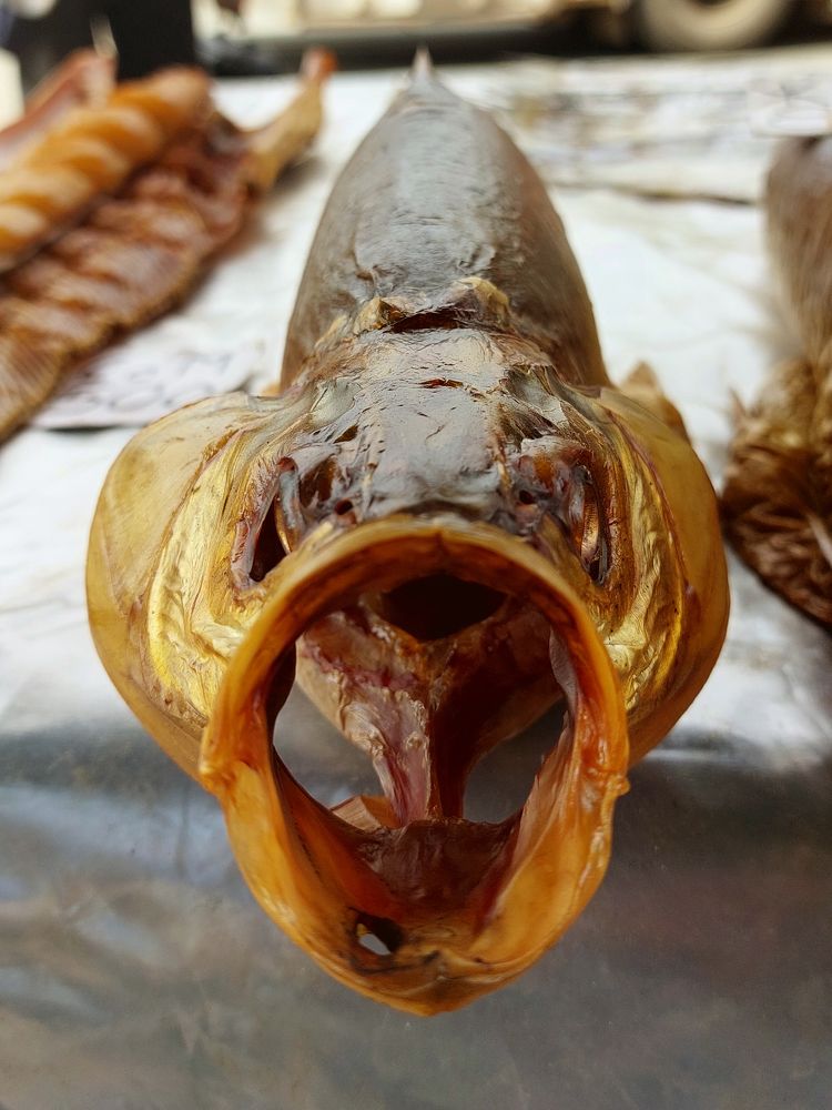 Фотография автора Михаил Бове