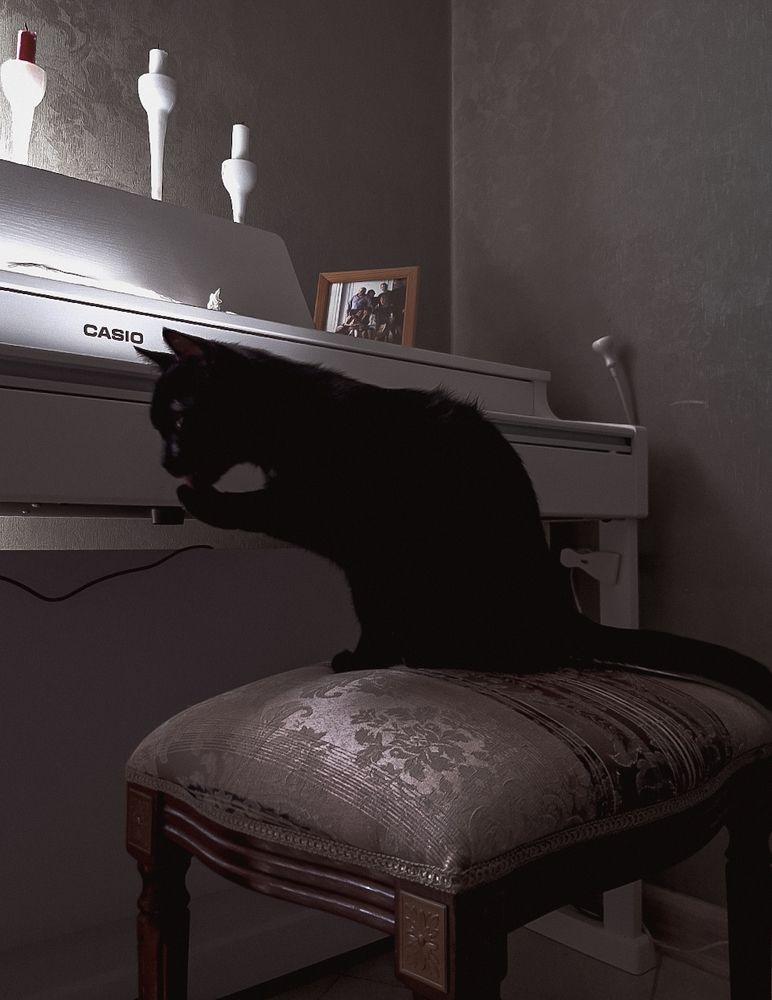 Photograph by Александра Кропивка