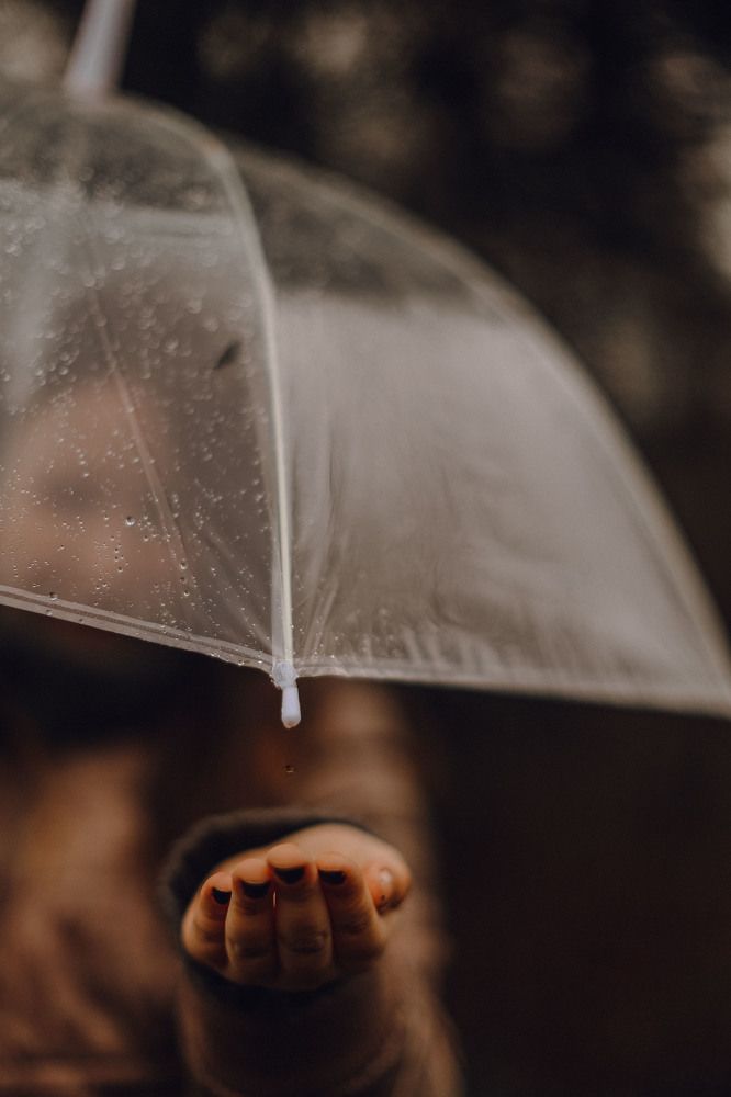 Photograph by Елена Малинина