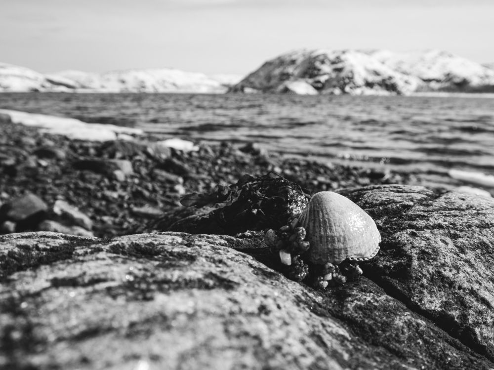 Photograph by Анна Шейко