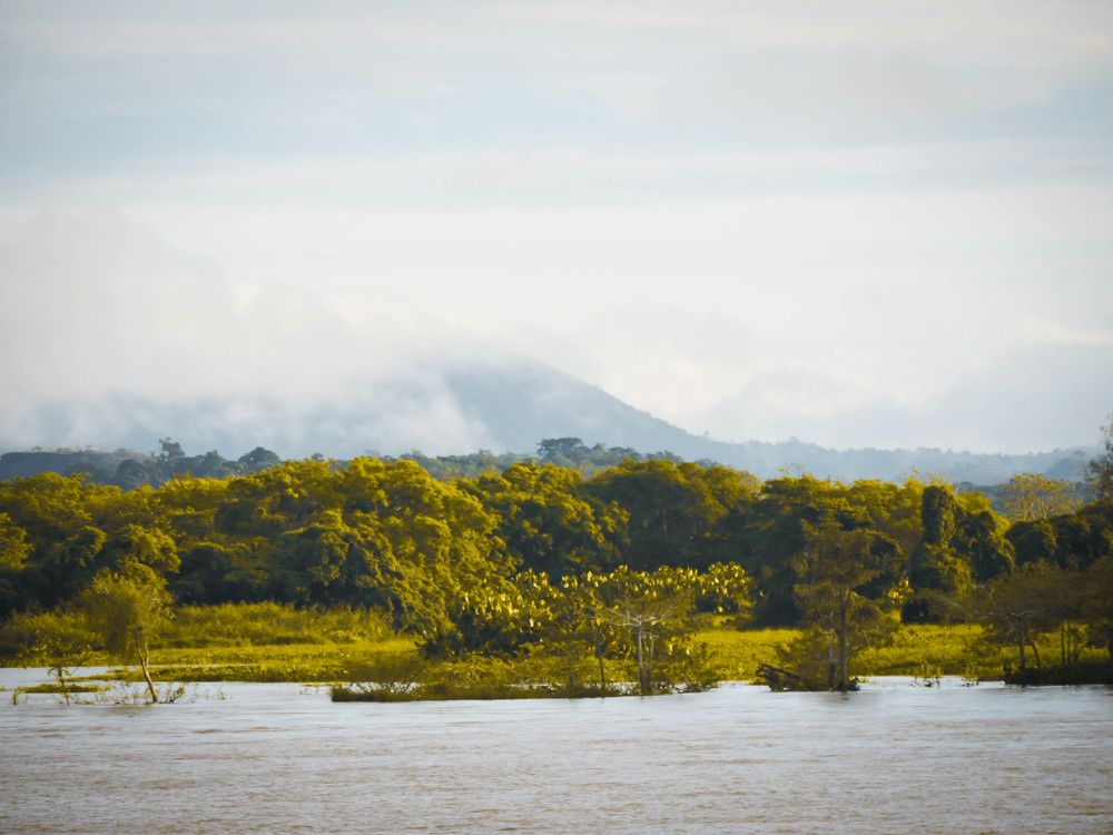 Photograph by Patrícia Helena