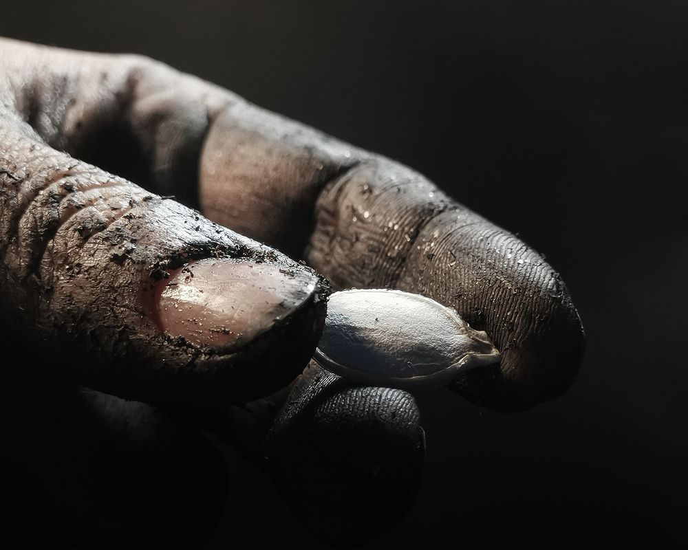 Photograph by Алена Круглик