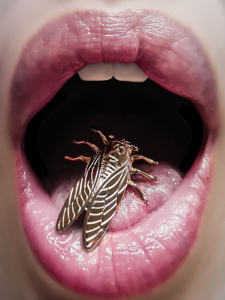 Photograph by Алена Круглик