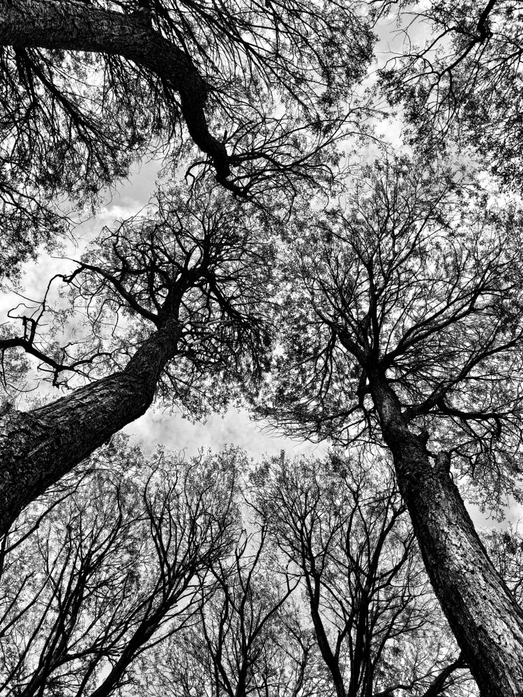 Photograph by Tatyana Markova