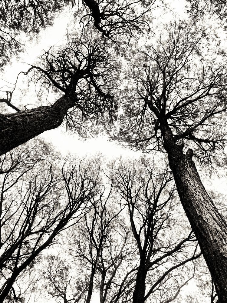 Photograph by Tatyana Markova