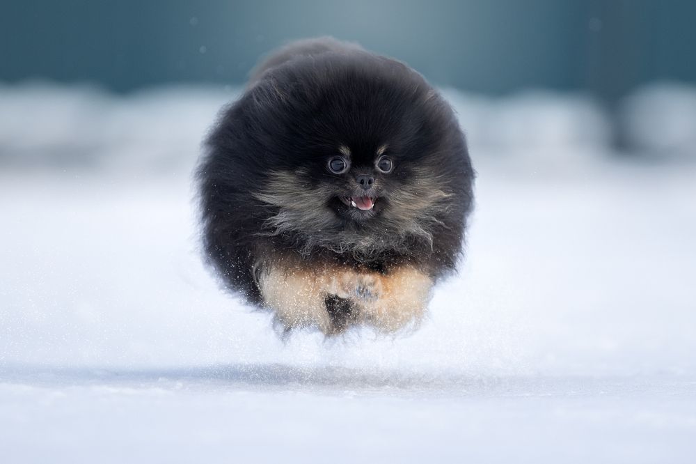 Photograph by Светлана Писарева