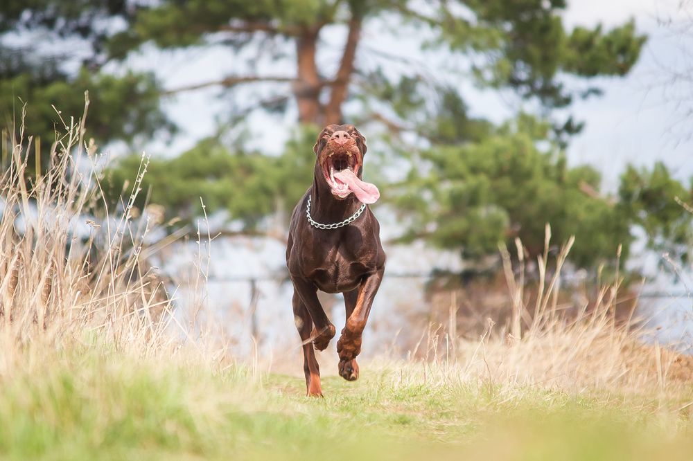 Photograph by Виктория Мамаева