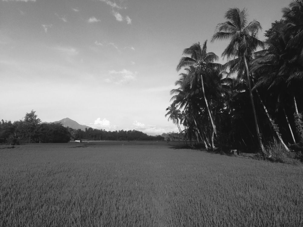 Photograph by M Afdal